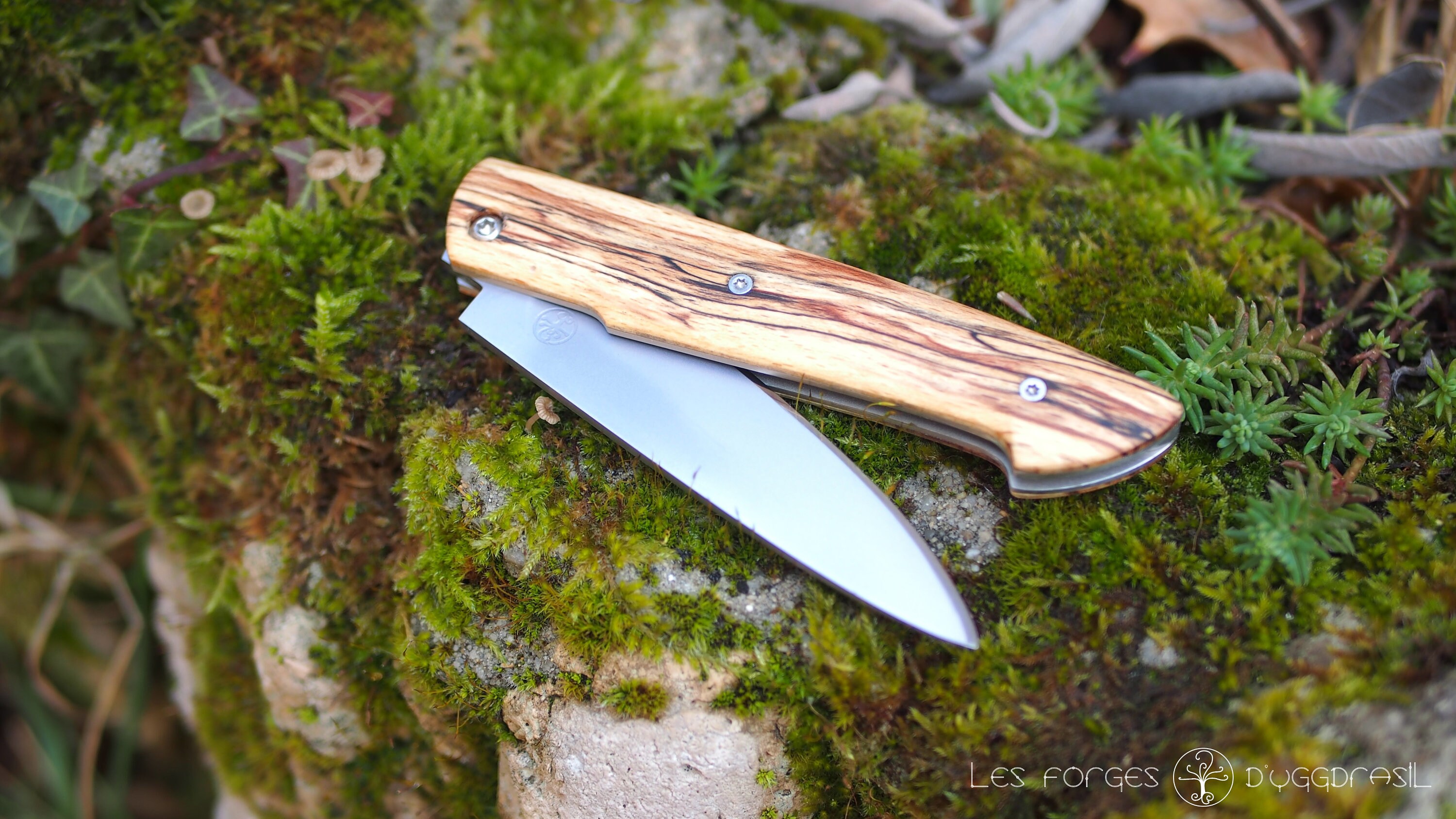 Couteau Pliant Cran Plat, Lame 135Cr3, Manche en Hêtre