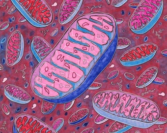 Mitochondrial Chromosomes fine art print