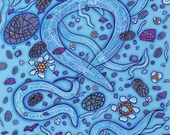 Deconstructing C elegans fine art print