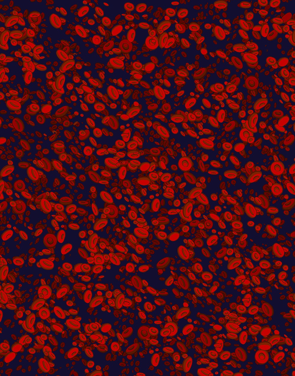 Red Blood Cell fine art print (11 x 14 inches)