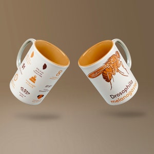 Drosophila Model Organism Mug