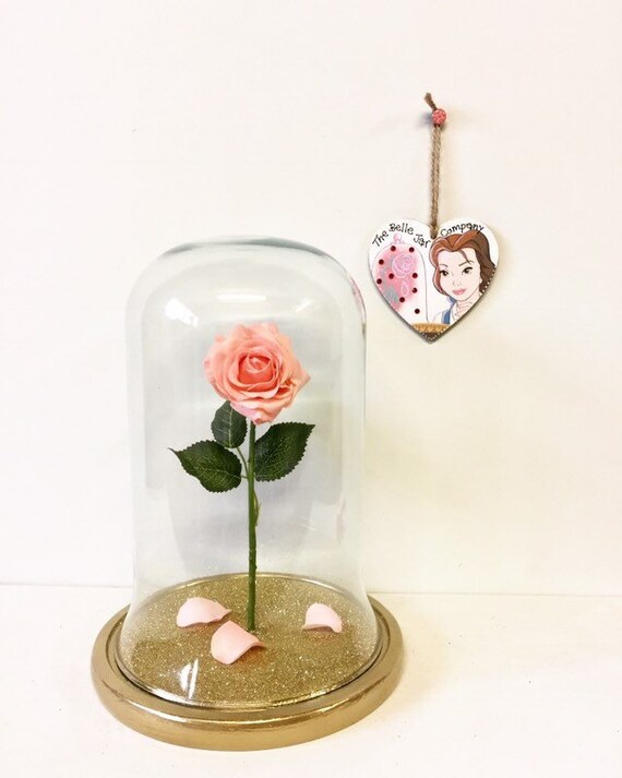 Rose in bell jar