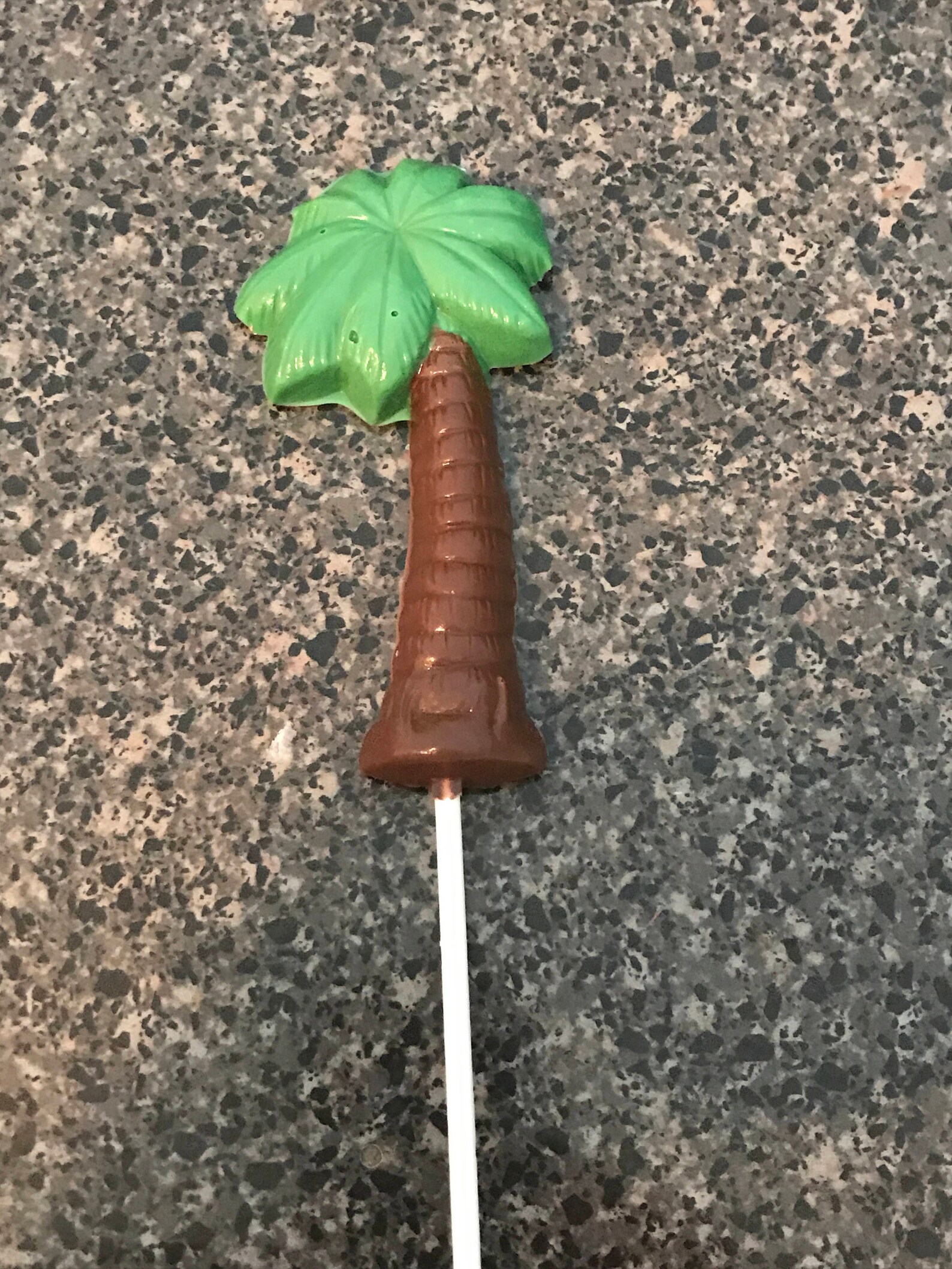 Chocolate Palm Trees Etsy