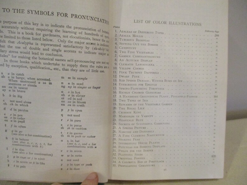 Puede incluir: Una p&aacute;gina de un libro con una lista de ilustraciones en color. Las ilustraciones incluyen una variedad de flores, plantas y verduras. La p&aacute;gina tambi&eacute;n incluye una clave de s&iacute;mbolos de pronunciaci&oacute;n.