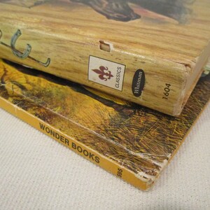 May include: Two vintage books are stacked, showcasing their aged covers. The top book has a light wood-grain cover with a horseshoe detail and the word "CLASSICS". The bottom book is a "WONDER BOOKS" title with a yellow cover.