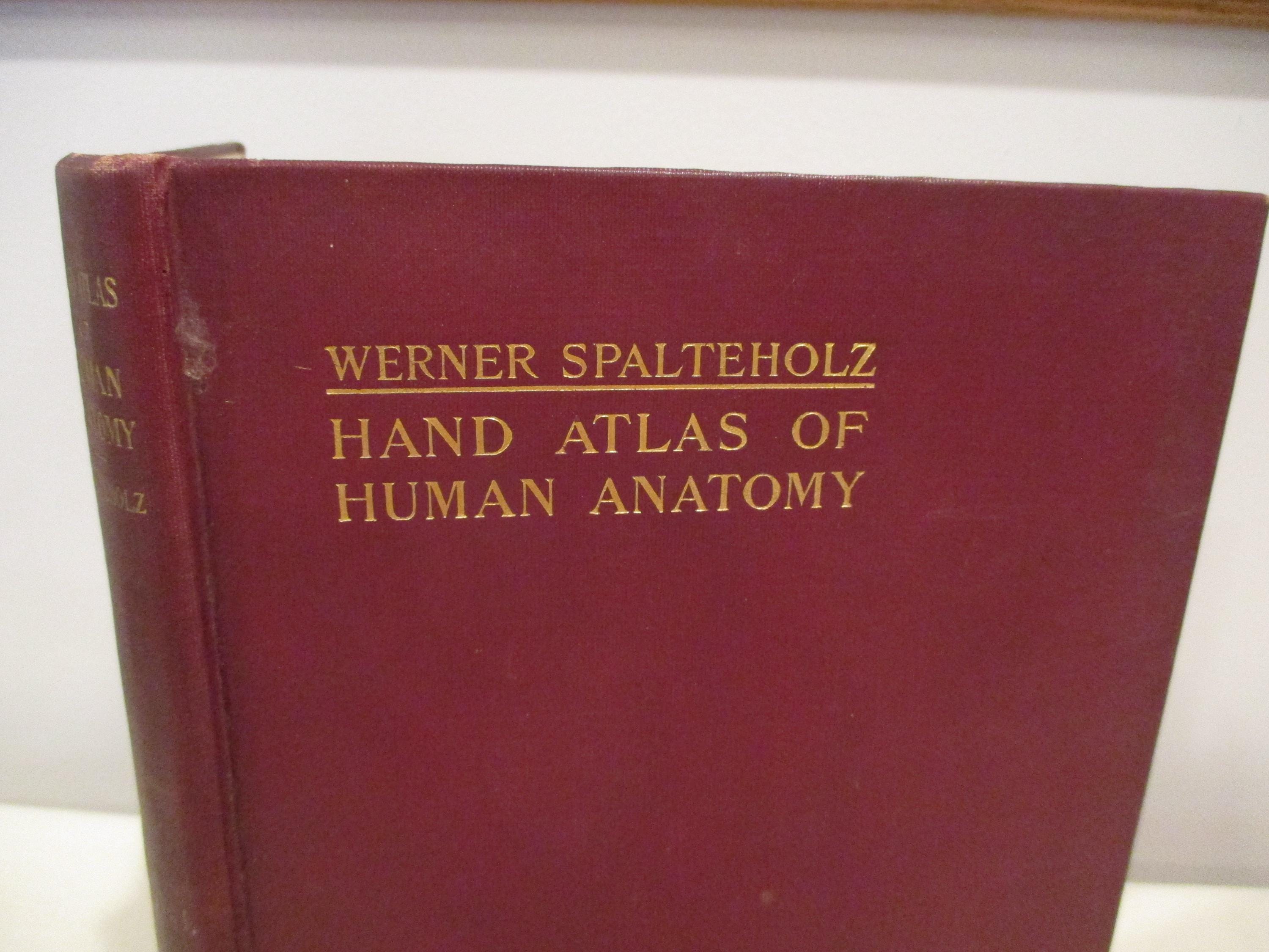 1923 Atlas of Human Anatomy by Werner Spalteholz,anatomy Diagrams