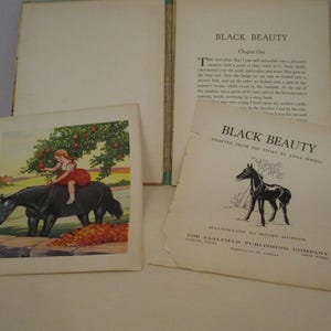 May include: An open vintage book titled "Black Beauty" with illustrations. The cover features a black horse illustration. A color illustration shows a girl on a black horse under a tree with red apples. The book is from The Saalfield Publishing Company.