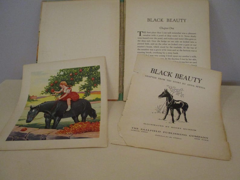 May include: An open vintage book titled "Black Beauty" with illustrations. The cover features a black horse illustration. A color illustration shows a girl on a black horse under a tree with red apples. The book is from The Saalfield Publishing Company.