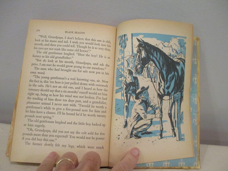 May include: Open book with text and an illustration of a black horse with two men. The illustration is in blue and black. The text on the left page is titled "BLACK BEAUTY".