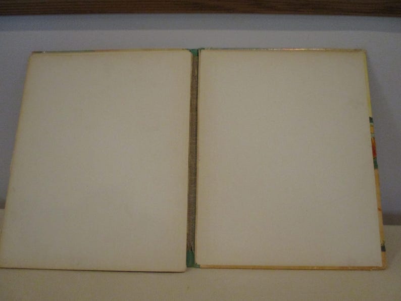 May include: Open vintage book with off-white pages. The book is open, revealing two blank pages. The edges of the pages are slightly yellowed, suggesting age. The binding is visible, with a green and tan spine.