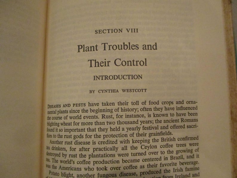 2 libros de jardinería, Enciclopedia del Jardín Sabio, cultivo de flores, horticultura, guía de jardinería, 10.000 preguntas sobre jardinería, plantas de interior, árboles frutales. imagen 19