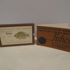 Fishes,1942 Representative North American Fresh Water Fishes by John Nichols,Andrew Johnson,Museum of Natural History,Great Lakes Fishing