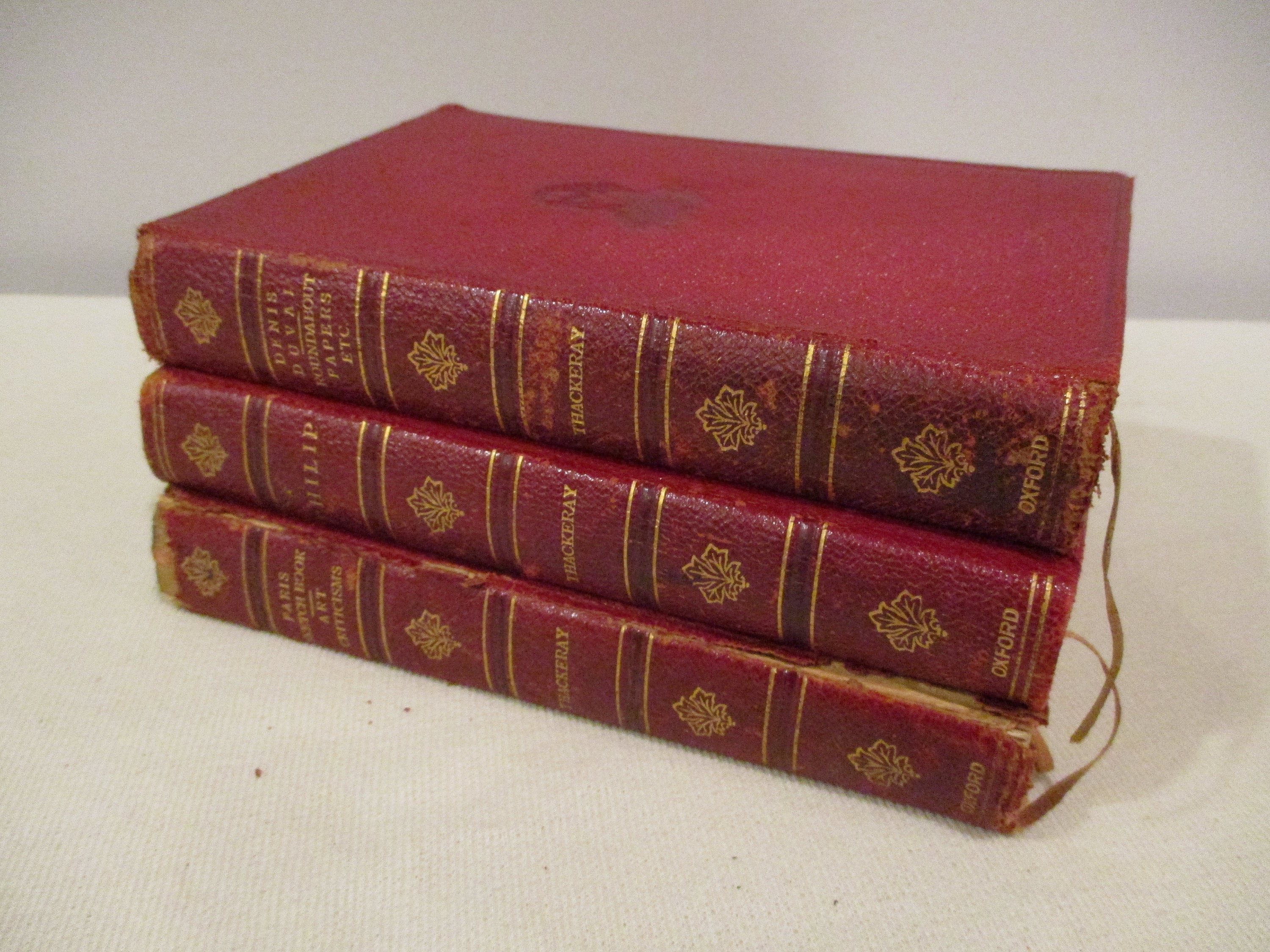 1880年 ドイツの装丁が素敵なアンティークブック L867古書1880年発行 ドイツ ブラウンに金彩装丁が美しい