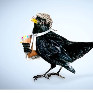 The Legal Blackbird Art Print image 1