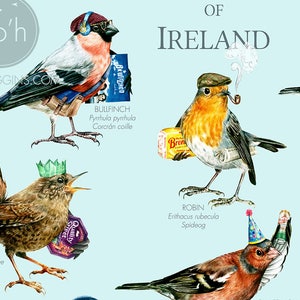 Common Garden Birds of Ireland A3 Art Print Illustration Painting Digital Print Birds zdjęcie 3