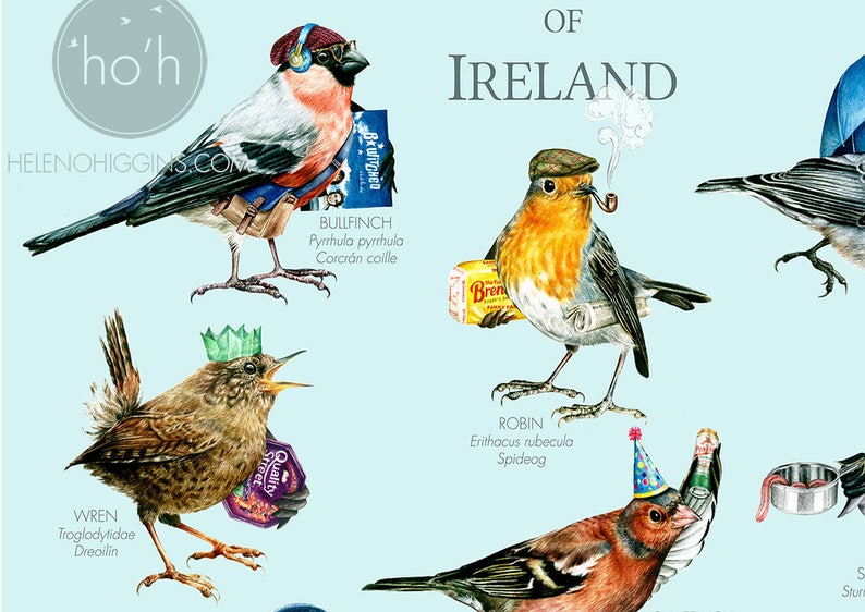 Common Garden Birds of Ireland A3 Art Print Illustration Painting Digital Print Birds zdjęcie 3