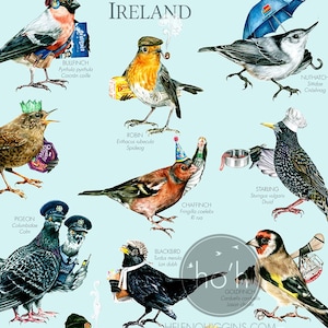 Common Garden Birds of Ireland A3 Art Print Illustration Painting Digital Print Birds zdjęcie 4