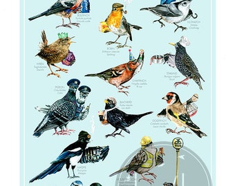 Common Garden Birds of Ireland • A3 Art Print - Illustration - Painting - Digital Print - Birds