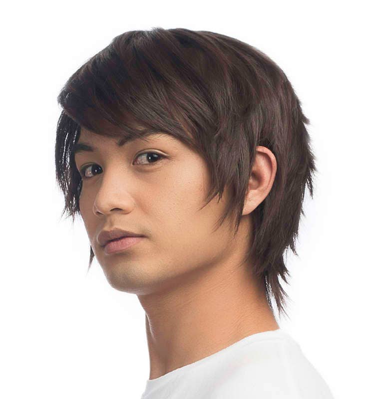 Messy Short Cut 11 Mens Cosplay Wig Shiki | Etsy