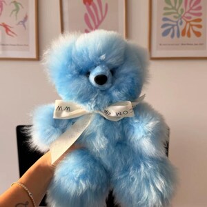 Pu&ograve; includere: Un soffice orsacchiotto azzurro con naso e occhi scuri, caratterizzato da un nastro bianco legato attorno al collo. Il nastro riporta la scritta 'WWW' e 'COM' in caratteri neri. L'orsacchiotto ha un aspetto morbido e testurizzato.