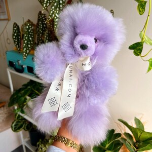 Pu&ograve; includere: Un soffice orsacchiotto color lavanda con una consistenza morbida a pelo lungo. L'orso presenta un naso scuro e un nastro bianco legato attorno al collo, stampato con il testo WWW.UNAI.COM e una piccola icona a griglia. Il giocattolo ha orecchie e arti arrotondati.