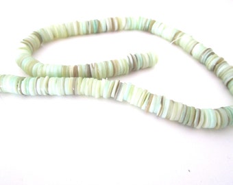 Green set of 50 shells slices of water