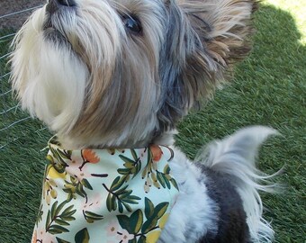 May include: A small, white and black dog wearing a green, yellow, and orange floral bandana with the text "Lemon Ave Pets". The dog is sitting on green grass.