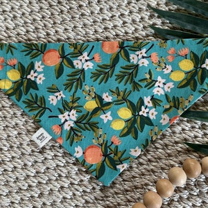 Dog Bandana // Over the Collar Dog Bandana // Citrus Dog Bandana // Lemon Dog Bandana // Rifle Paper Co Fabric Dog Bandana // Citrus Floral