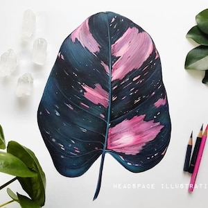 ORIGINAL Pink Princess Philodendron Colored Pencil Botanical Art by Headspace Illustrations