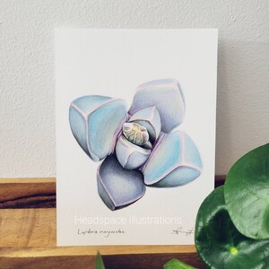 ORIGINAL 5x7 Cactus Plant Colored Pencil Art by Headspace Illustrations