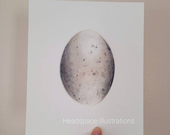 Blue Jay Bird Egg Etsy