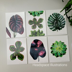 Lot de 6 cartes botaniques vierges non pliables avec crayons de couleur par Headspace Illustrations