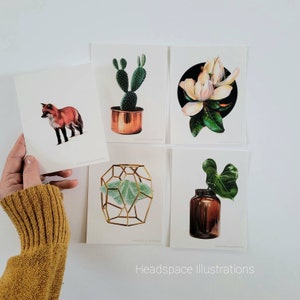 5 Pk 4.25"x5.5 » Non-Folded Fox Moth et Botanical Blank Notecards Thank you Gift Colored Pencil Art par Headspace Illustrations