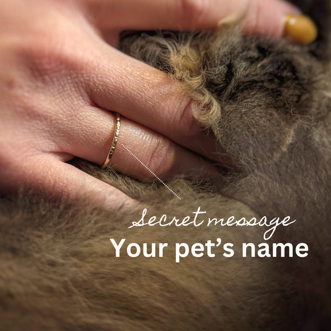 Custom Pet Jewelry Pet Name Ring Pet Memorial Gift Gift for - Etsy