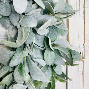 Year Round Lambs Ear Wreath , Modern Farmhouse Wreath, Greenery Wreath ...