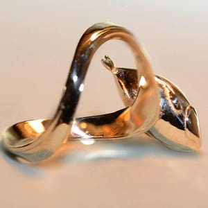 Puede incluir: Un anillo de plata con un dise&ntilde;o &uacute;nico que presenta una banda curva y una forma de delf&iacute;n estilizada.