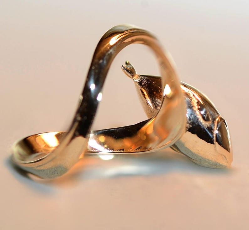 Puede incluir: Un anillo de plata con un dise&ntilde;o &uacute;nico que presenta una banda curva y una forma de delf&iacute;n estilizada.
