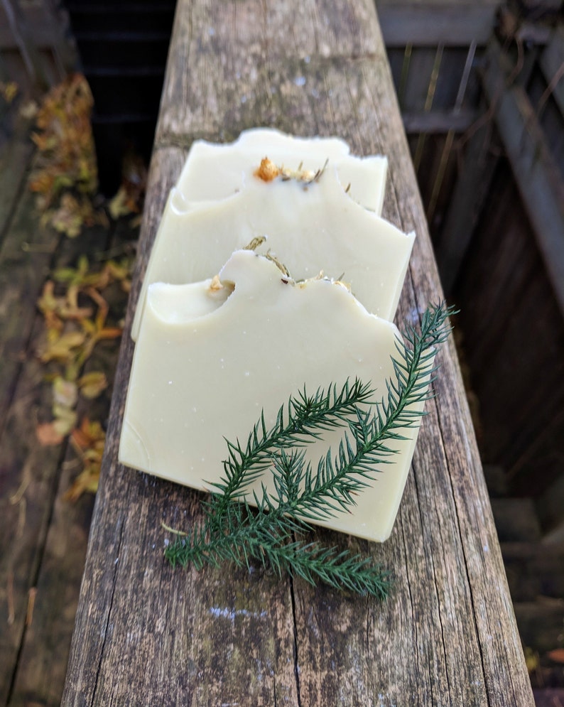 Evergreen Soap Cedarwood & Rosemary Essential Oil Soap Etsy
