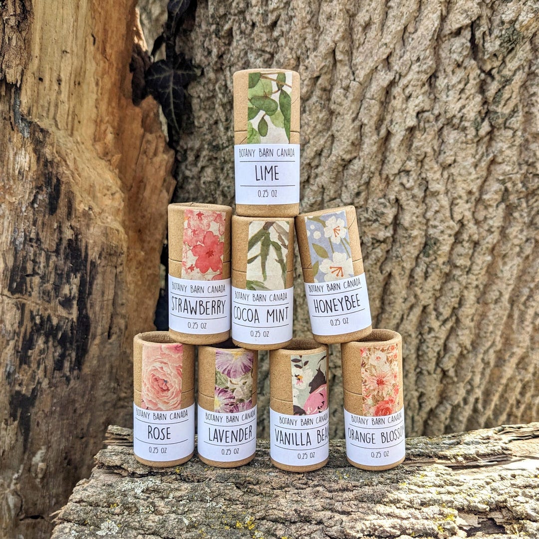 Lip Balm 8 Pack: Plastic Free, Zero Waste Chapstick, Handmade Natural Lip Care - Etsy Canada