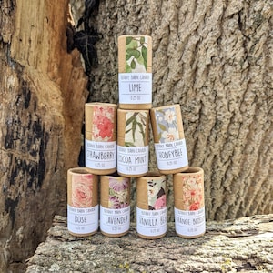 Lip Balm Set of 8: Handmade Mini Organic Lip Balm in Biodegradable Tube, Zero Waste Moisturizing Lip Chap, Plastic Free Eco Friendly Package