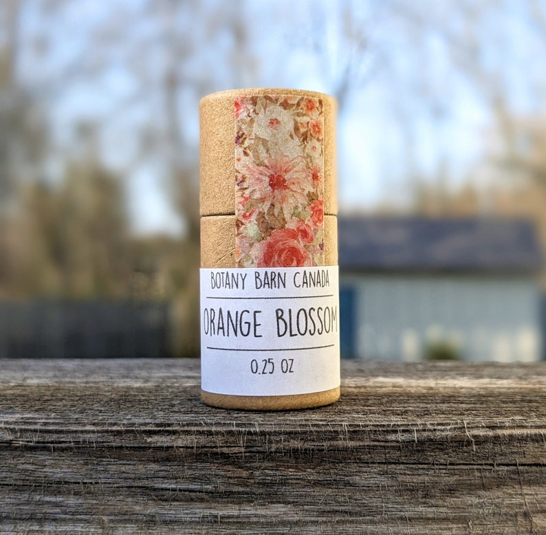 Handmade Organic Lip Balm Minis Eco Friendly Products, Natural Scent Essential Oils, Zero Waste Hydrating Lip Chap, Biodegradable Tube Orange Blossom