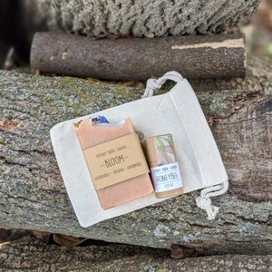 Small Gift Set with Soap and Lip Balm, Coworker Gift, Teacher Gift, Mini Zero Waste Gift, Organic Eco-Friendly Skincare, Mini Self Care
