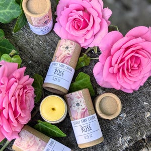 Canadian Made Lip Balm Mini: Essential Oil Scents, Zero Waste Eco Tube, Hydrating Chapstick