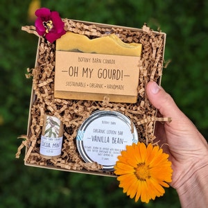 Autumn Wellness Gift Set: Organic Pumpkin Soap, Vanilla Lotion, Cocoa Mint Lip Balm