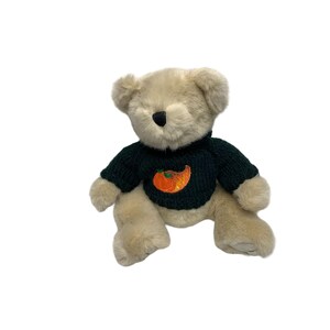 May include: A beige plush teddy bear wearing a green sweater with an orange pumpkin embroidered on the front.