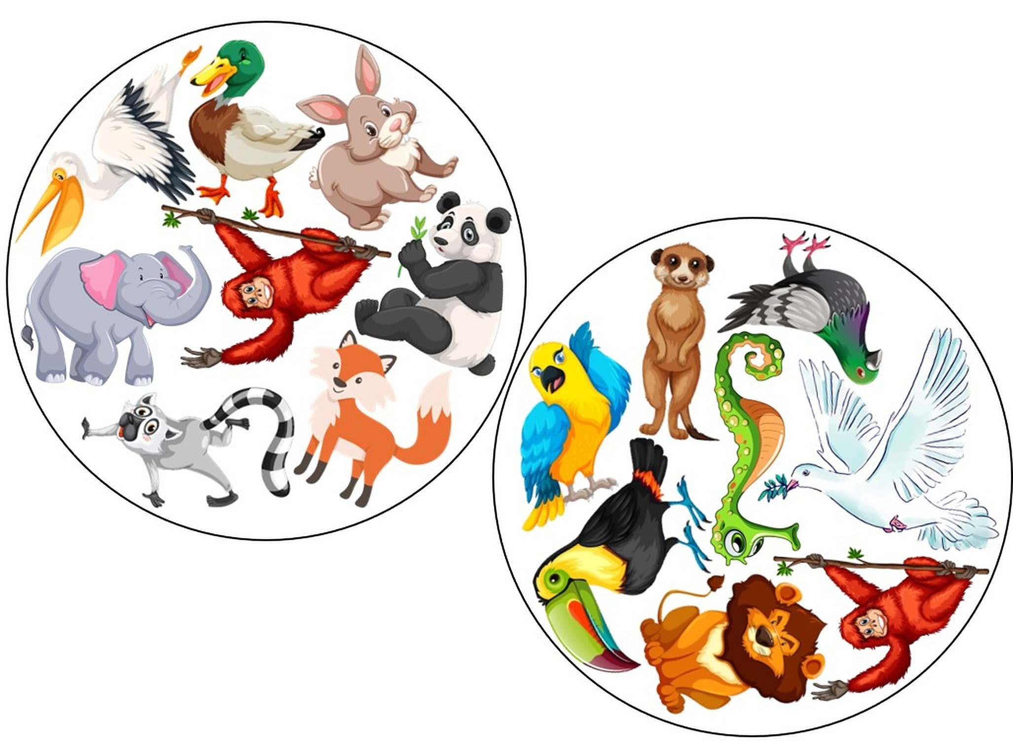 spot it dobble card game printable pdf file 57 cards etsy sweden