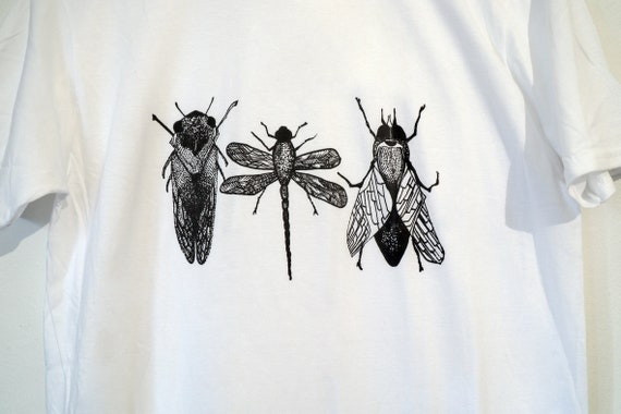 A cicada, a dragonfly and a fly sat on a branch reflecting on their existence