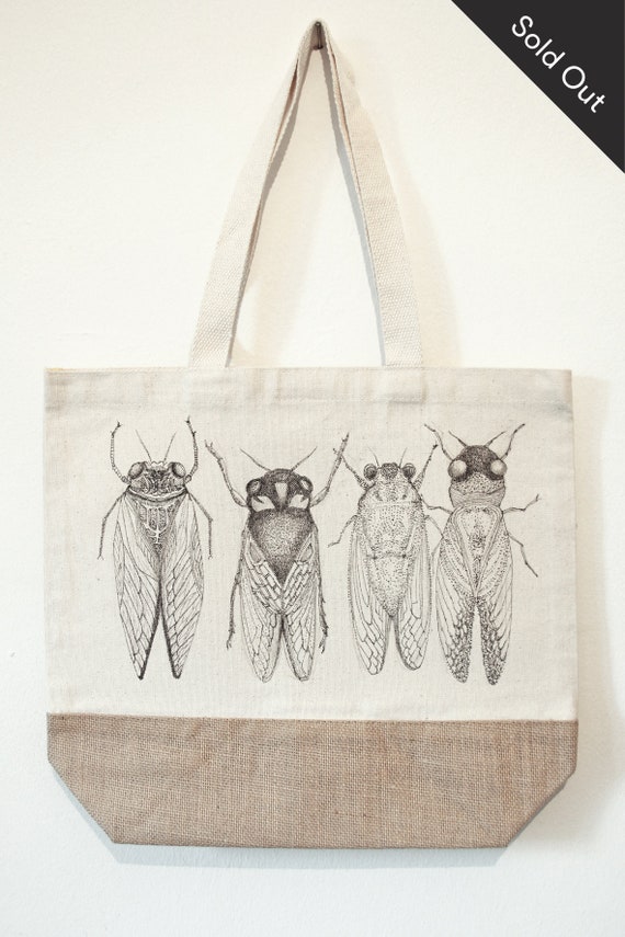 Quattro cicadas