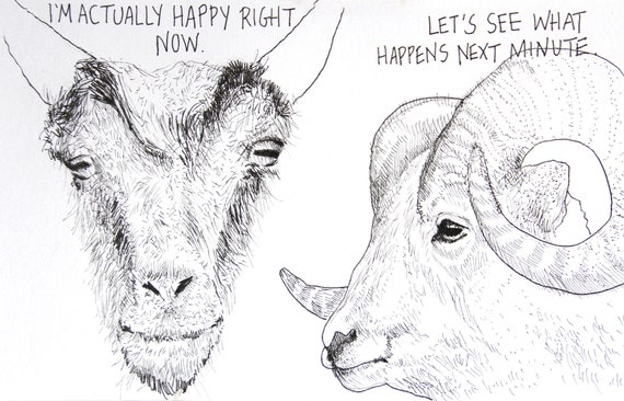Moody goat