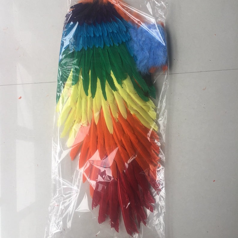 Kids rainbow agnel wing #WIN2019001